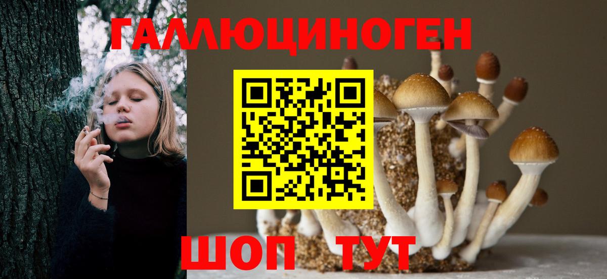Галлюциногенные грибы Psilocybine cubensis Жигулёвск